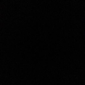 Meet your Posher, Bailey